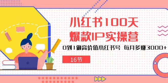 小红书100天-爆款IP实操营，0到1做高价值小红书号 每月多赚3000+(16节-网赚项目平台