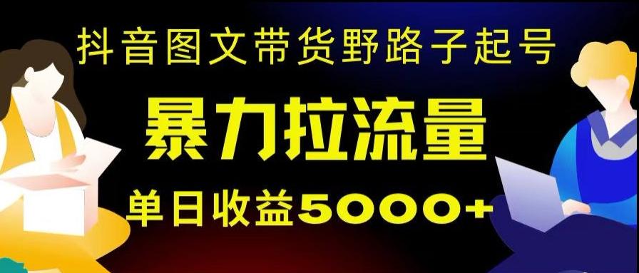抖音图文带货暴力起号，单日收益5000+，野路子玩法，简单易上手，一部手机即可【揭秘】-网赚项目平台