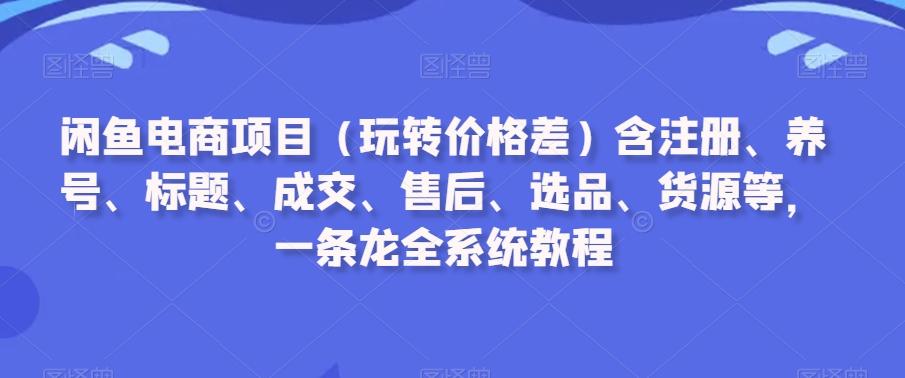 闲鱼电商项目(玩转价格差)含注册、养号、标题、成交、售后、选品、货源等，一条龙全系统教程-网赚项目平台