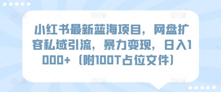 小红书最新蓝海项目，网盘扩容私域引流，暴力变现，日入1000+(附100T占位文件)【揭秘】-网赚项目平台