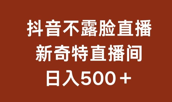 不露脸挂机直播，新奇特直播间，日入500+【揭秘】-网赚项目平台