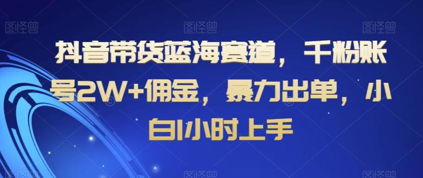 抖音带货蓝海赛道，千粉账号2W+佣金，暴力出单，小白1小时上手【揭秘】-网赚项目平台