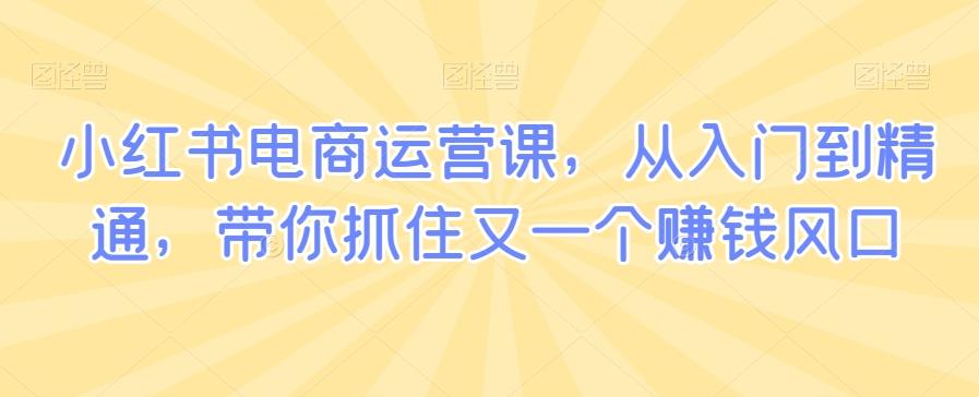 小红书电商运营课，从入门到精通，带你抓住又一个赚钱风口-网赚项目平台