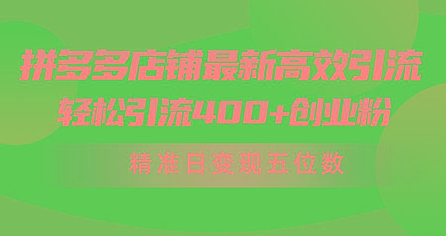 (10041期)拼多多店铺最新高效引流术，轻松引流400+创业粉，精准日变现五位数！-网赚项目平台