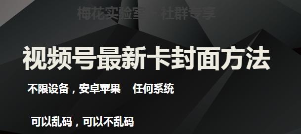 梅花实验室社群最新卡封面玩法3.0，不限设备，安卓苹果任何系统-网赚项目平台