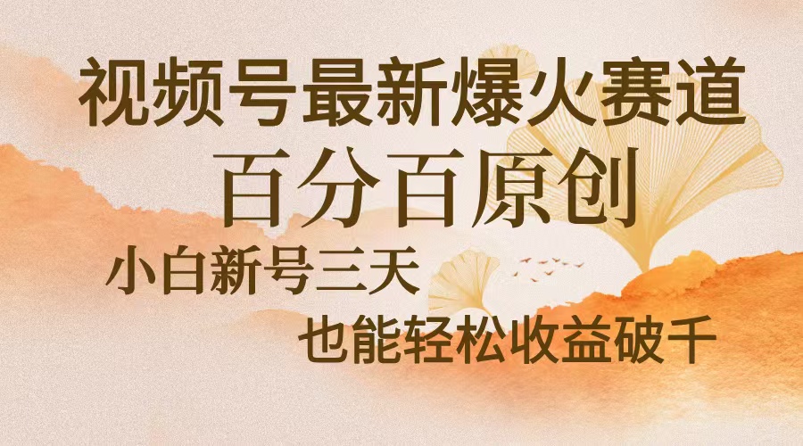 视频号最新爆火赛道，中老年粉深信不疑，百分百原创，新号三天收益轻松…-网赚项目平台