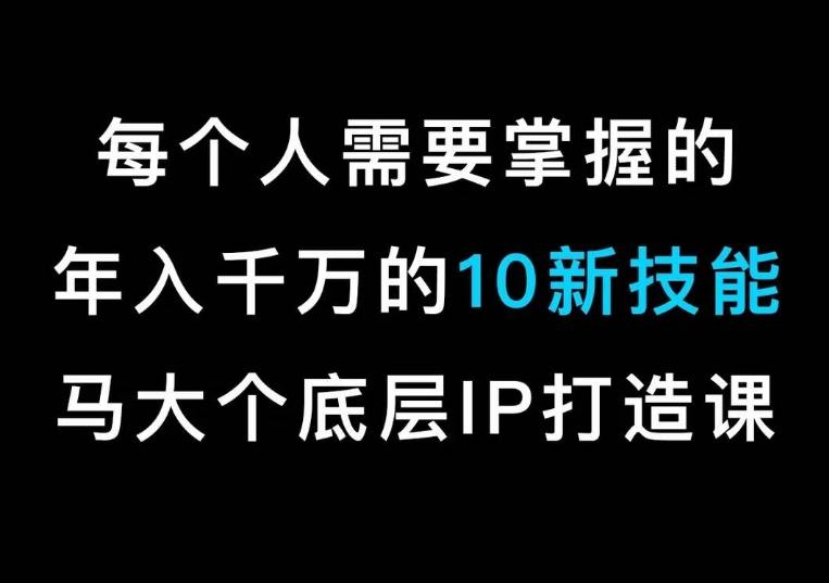 马大个的IP底层逻辑课，​每个人需要掌握的年入千万的10新技能，约会底层IP打造方法！-网赚项目平台