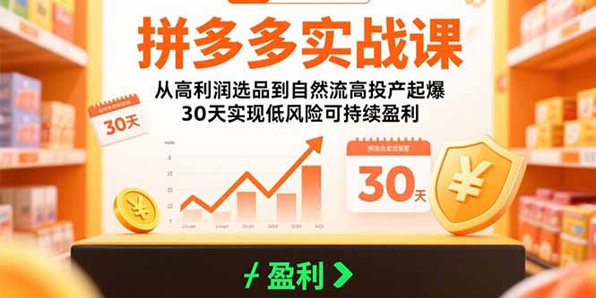 拼多多实战课：从高利润选品到自然流高投产起爆 30天实现低风险可持续盈利-网赚项目平台