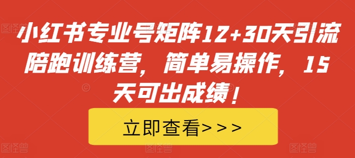 小红书专业号矩阵12+30天引流陪跑训练营，简单易操作，15天可出成绩!-网赚项目平台