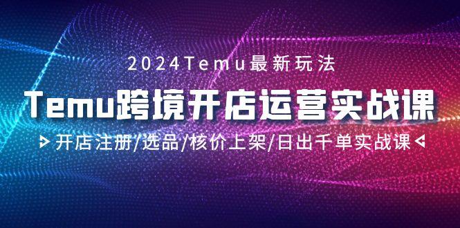 2024Temu跨境开店运营实战课，开店注册/选品/核价上架/日出千单实战课-网赚项目平台