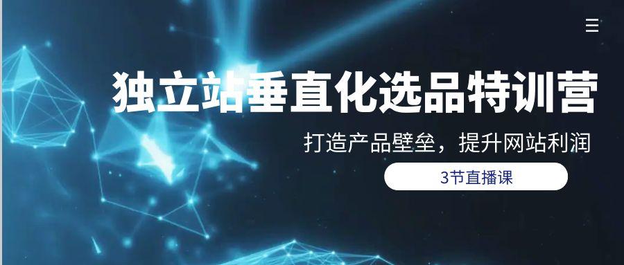 (9925期)独立站-垂直化选品训练营，打造产品壁垒，提升网站利润(3节直播课)-网赚项目平台