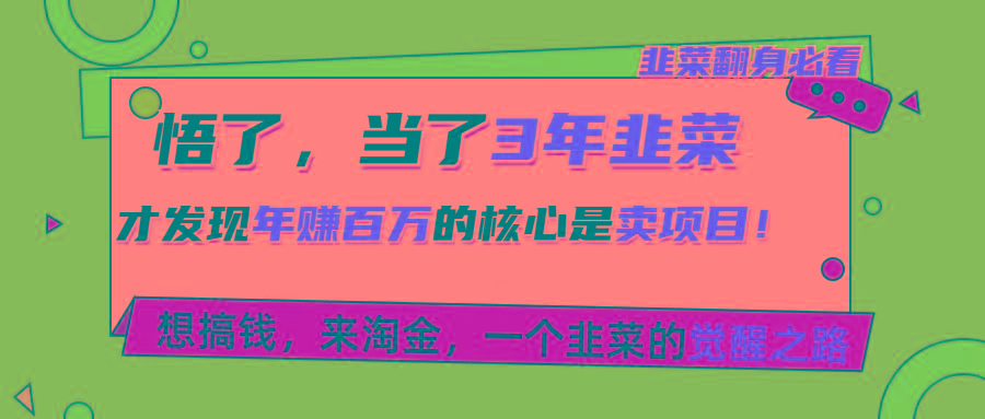 悟了，当了3年韭菜，才发现网赚圈年赚100万的核心是卖项目，含泪分享！-网赚项目平台