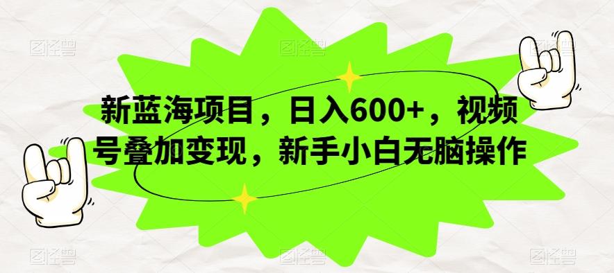 新蓝海项目，日入600+，视频号叠加变现，新手小白无脑操作【揭秘】-网赚项目平台
