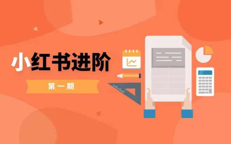 小红书进阶篇，零基础小白实战课，普通人变现的课程-网赚项目平台