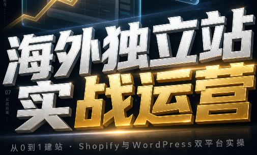 海外独立站实战运营-网赚项目平台