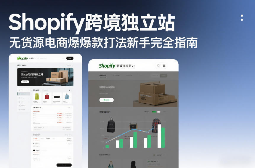 Shopify跨境独立站无货源电商爆款打法新手完全指南-网赚项目平台