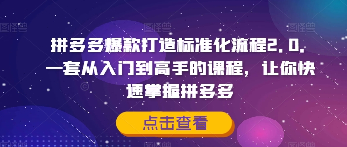 拼多多爆款打造标准化流程2.0，一套从入门到高手的课程，让你快速掌握拼多多-网赚项目平台
