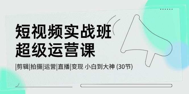 短视频实战班超级运营课 |剪辑|拍摄|运营|直播|变现 小白到大神 (30节)-网赚项目平台