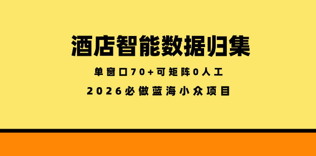 酒店智能数据归集,小众蓝海已经稳定半年之久,单窗口70+零成本矩阵开干【揭秘】-网赚项目平台