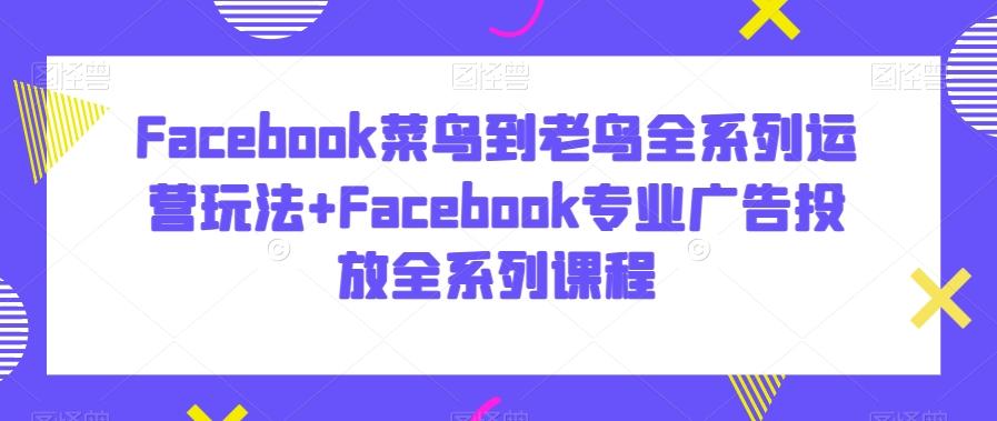 Facebook菜鸟到老鸟全系列运营玩法+Facebook专业广告投放全系列课程-网赚项目平台