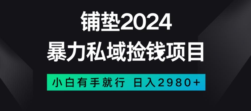 暴力私域捡钱项目，小白无脑操作，日入2980【揭秘】-网赚项目平台