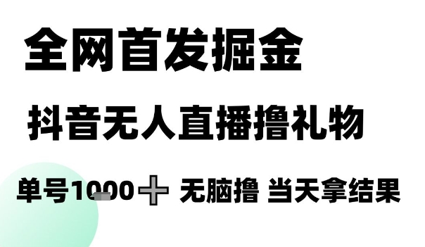 全网首发掘金抖音无人直播撸礼物，单号1k +无脑撸，当天拿结果【揭秘】-网赚项目平台