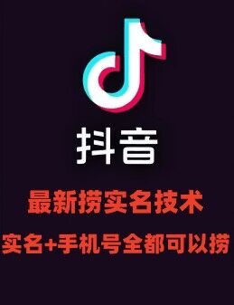 最新技术抖音捞实名+捞手机号技术，抖音直播封禁释放十名/手机号，直接替换出来!-网赚项目平台