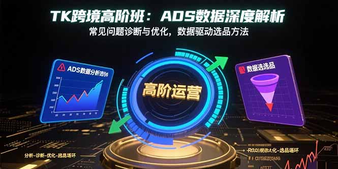 TK跨境高阶班：ADS数据深度解析，常见问题诊断与优化，数据驱动选品方法-网赚项目平台