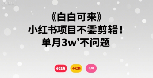 小白可来 小红书项目不需要剪辑 单月3w不是问题-网赚项目平台
