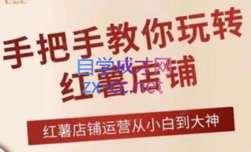 海燕老师·2024手把手教你玩转红薯店铺-网赚项目平台