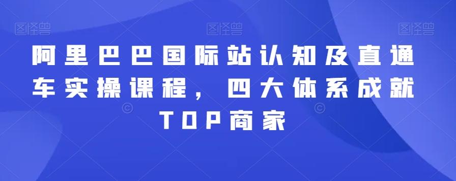 阿里巴巴国际站认知及直通车实操课程，四大体系成就TOP商家-网赚项目平台
