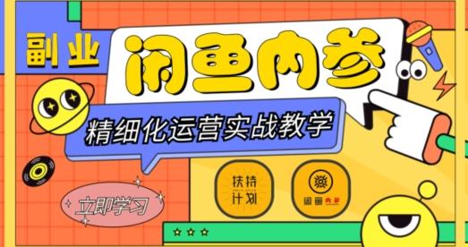 闲鱼精细化运营入门+高阶实战教学，从底层逻辑到轻松变现，多维度玩转闲鱼副业-网赚项目平台