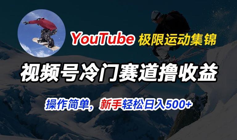 视频号冷门赛道撸收益，YouTube搬运极限运动集锦，暴力起号，操作简单流量高，轻松日入5张【揭秘】-网赚项目平台