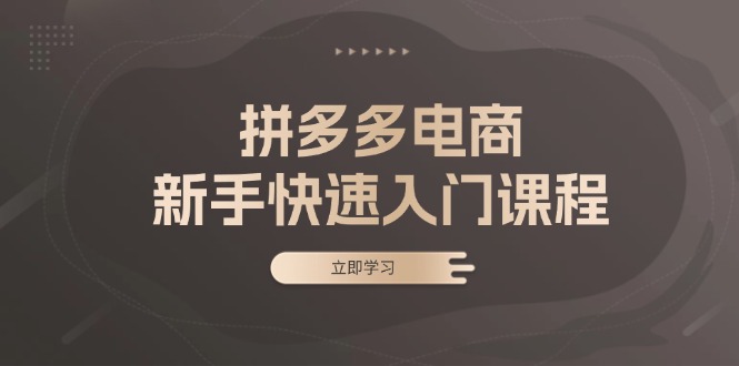 拼多多电商新手快速入门课程：涵盖基础、实战与选款，助力小白轻松上手-网赚项目平台