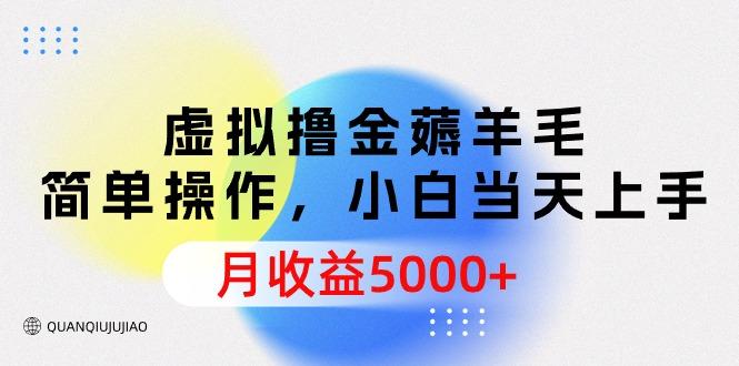 (9864期)虚拟撸金薅羊毛，简单操作，小白当天上手，月收益5000+-网赚项目平台