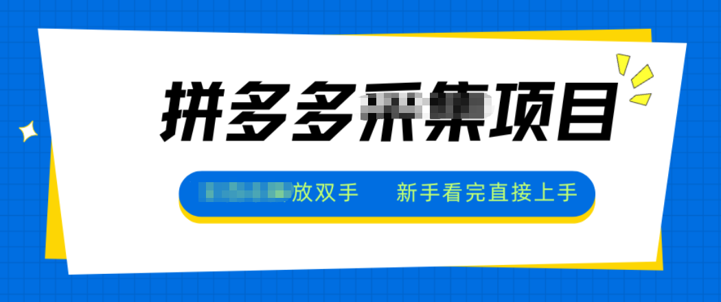 拼多多电商采集,一小时50+,操作简单,零投资-网赚项目平台