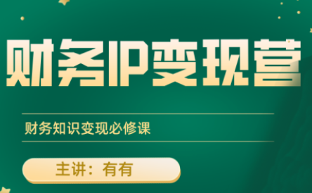 有有老师·财务IP变现营，财务知识变现必修课-网赚项目平台
