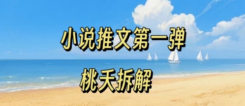 小说推文项目操作全流程第一弹，0粉就能做，门槛低非常适合新手-网赚项目平台