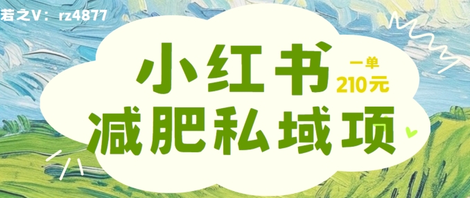 小红书减肥粉，私域变现项目，一单就达210元，小白也能轻松上手【揭秘】-网赚项目平台