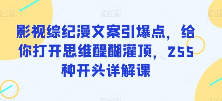 影视综纪漫文案引爆点，给你打开思维醍醐灌顶，255种开头详解课-网赚项目平台