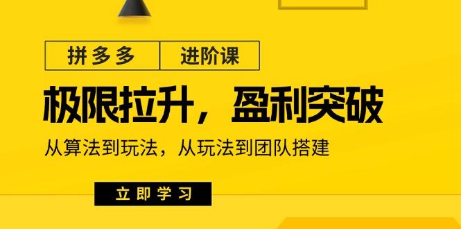 拼多多·进阶课：极限拉升/盈利突破：从算法到玩法 从玩法到团队搭建-18节-网赚项目平台