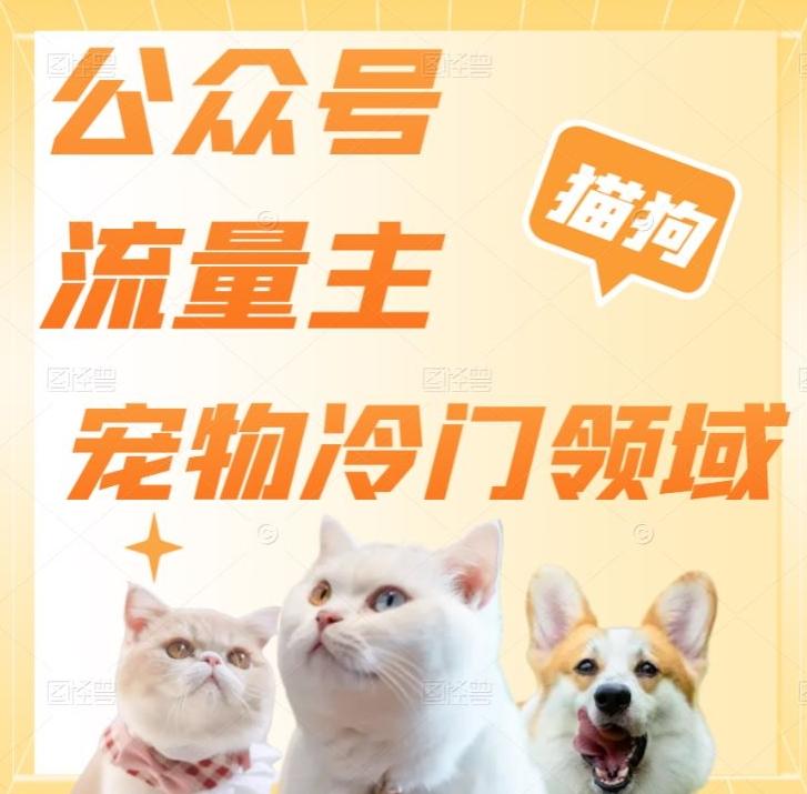 公众号流量主，萌宠冷门领域，单日收益2000+，简单暴力掘金，矩阵操作，无限放大收益！-网赚项目平台
