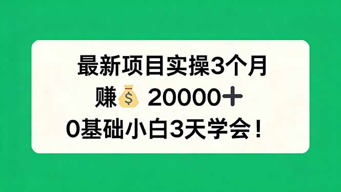 最新项目实操3个月，赚钱20000+，0基础小白3天学会！-网赚项目平台