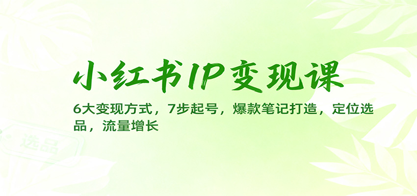 小红书IP变现课：6大变现方式，7步起号，爆款笔记打造，定位选品，流量增长-网赚项目平台