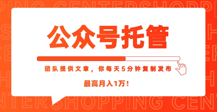【公众号托管 】我提供文章，你每天５分钟复制发布，最高月入1W-网赚项目平台