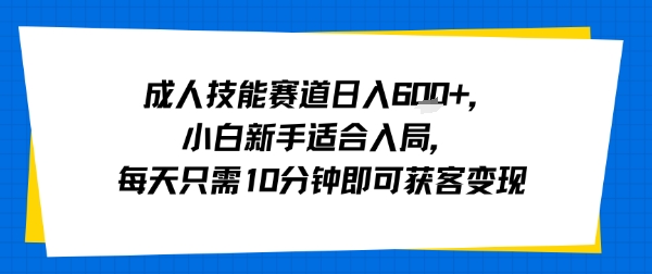 成人技能赛道日入多张，小白新手适合入局，每天只需10分钟即可获客变现-网赚项目平台