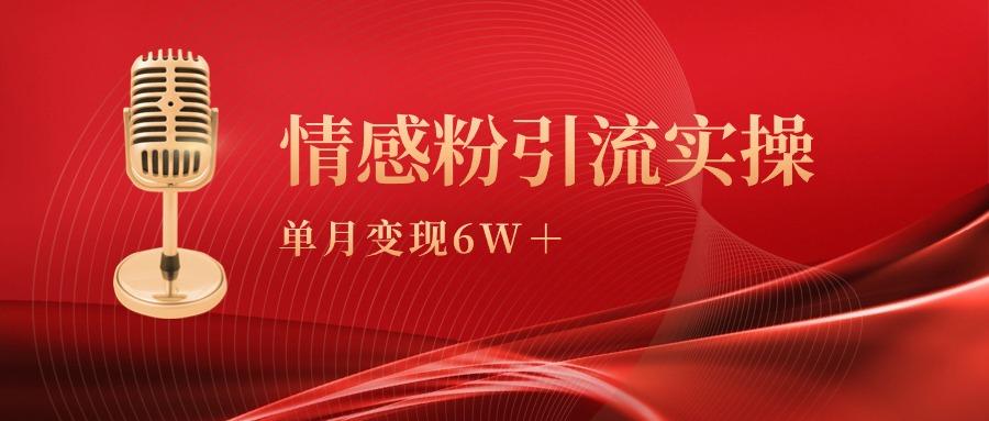 (9473期)单月变现6w+，情感粉引流变现实操课-网赚项目平台
