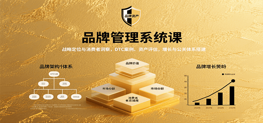 品牌管理系统课：战略定位与消费者洞察，DTC案例、资产评估，增长与公关体系搭建-网赚项目平台