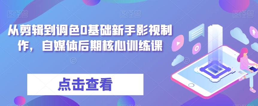 从剪辑到调色0基础新手影视制作，自媒体后期核心训练课-网赚项目平台