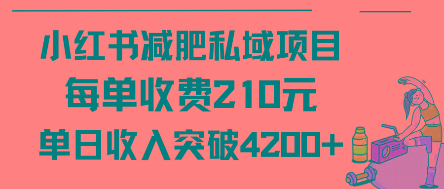 (9466期)小红书减肥私域项目每单收费210元单日成交20单，最高日入4200+-网赚项目平台